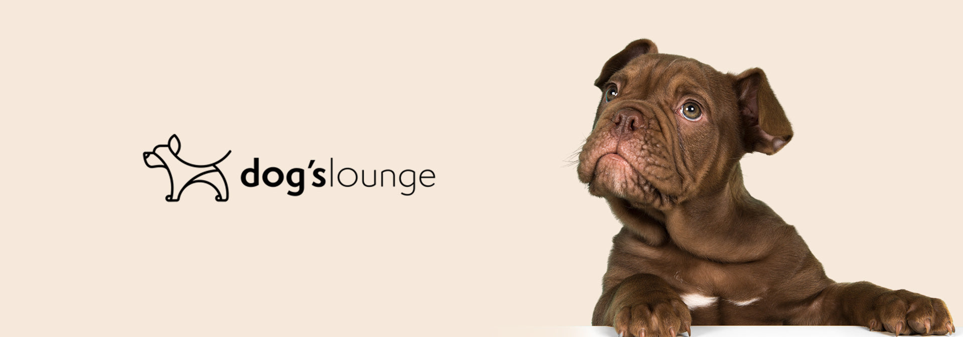 Dog's Lounge