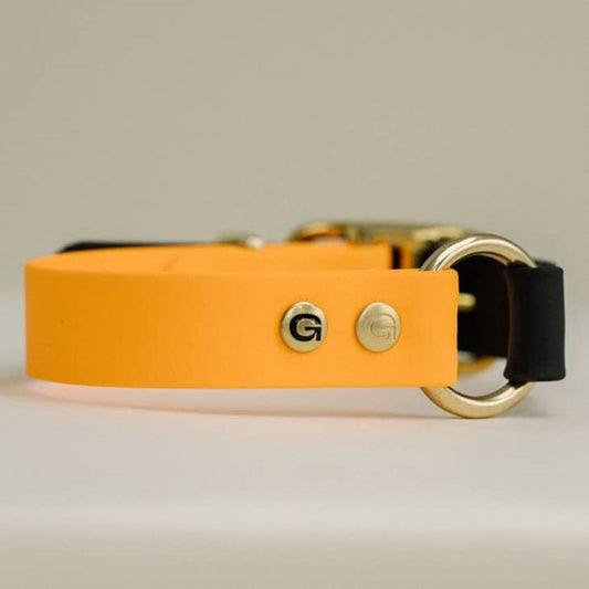 Dog Collar (Orange & Black) by GULA