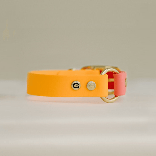 Dog Collar (Orange & Pink) by GULA