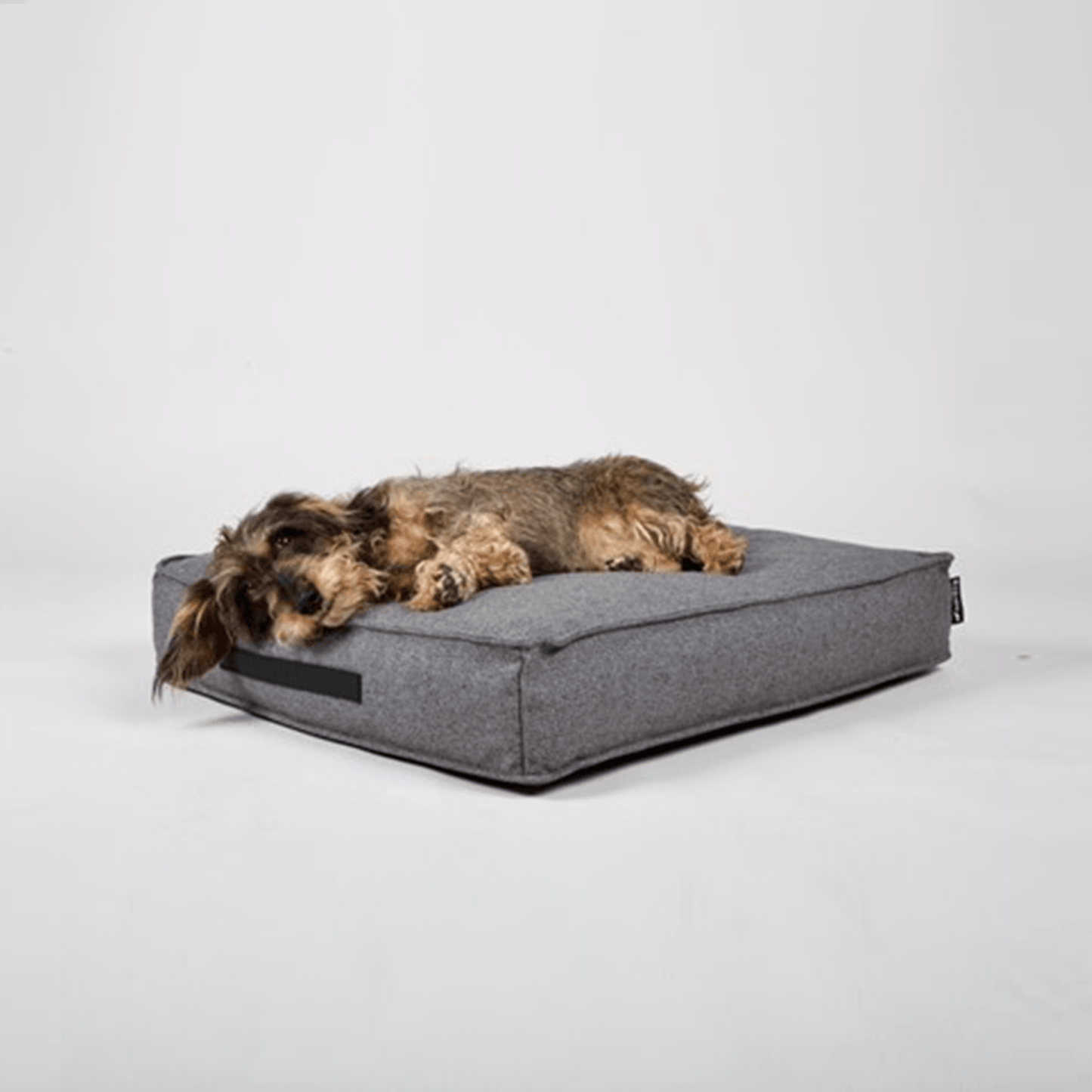 Hygge Dog Cushion (Anthracite) by Nordog