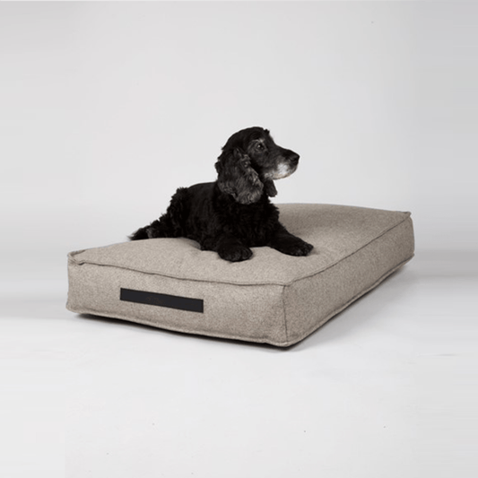 Hygge Dog Cushion (Cappuccino) by Nordog