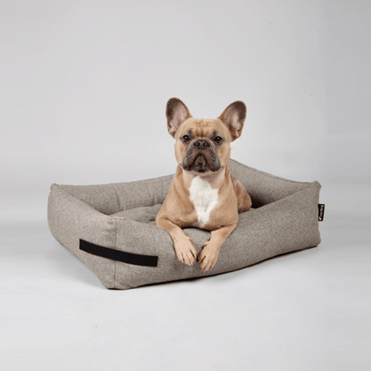 Hygge Dog Bed (Cappuccino) by Nordog