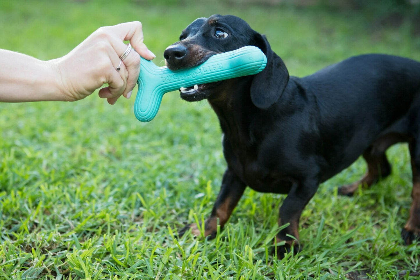 Natural Rubber Dog Toy - Fetchstix