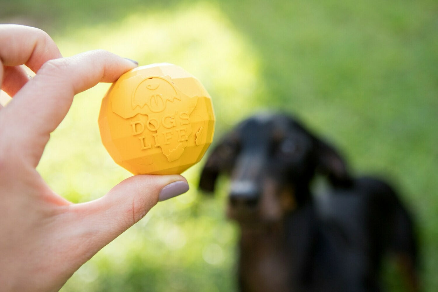 Africa Ball - Natural Rubber Dog Toy