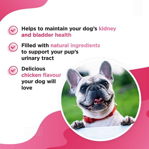 Dog's Lounge - BERRI Bladder & Kidney Cranberry Support for Dogs