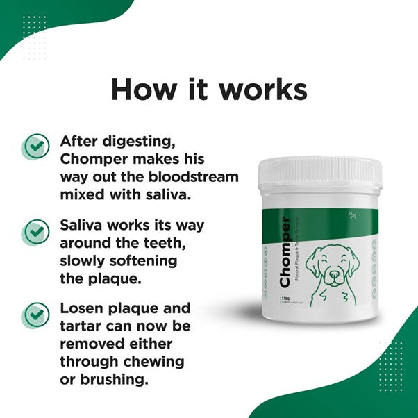 Dog's Lounge - CHOMPER Organic Tartar & Plaque Remover for Dogs and Puppies