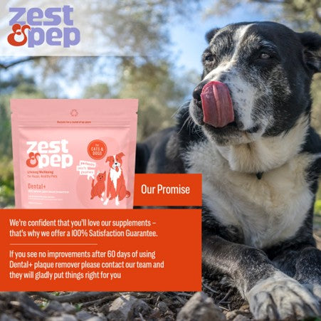 Zest & Pep - Dental Powder For Cats & Dogs