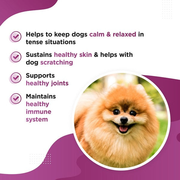 Dog's Lounge - KALMI Organic Hemp Seed Oil for Stressed & Anxious Dogs