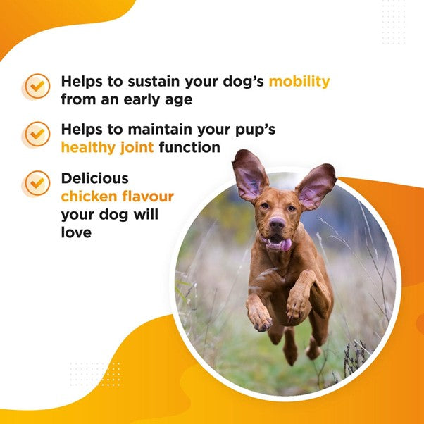 Dog's Lounge - MOBI Hip and Joint Mobility Supplement for Dogs