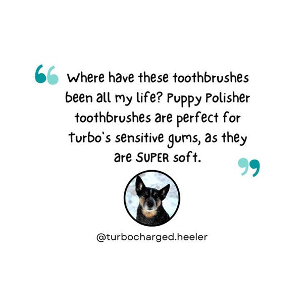 Wag & Bright Supply Co - Puppy Polisher Eco Toothbrush