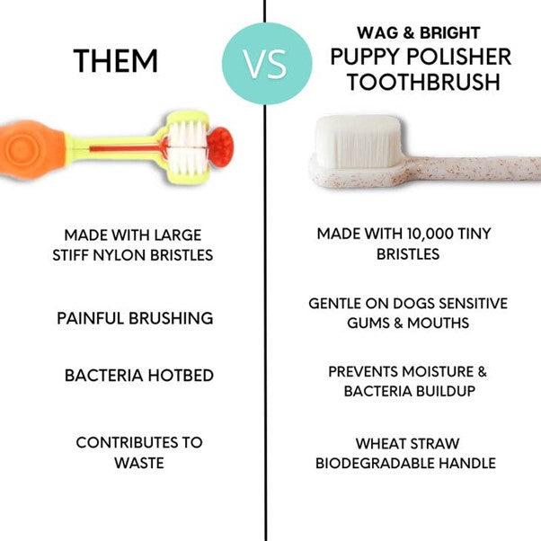 Wag & Bright Supply Co - Puppy Polisher Eco Toothbrush