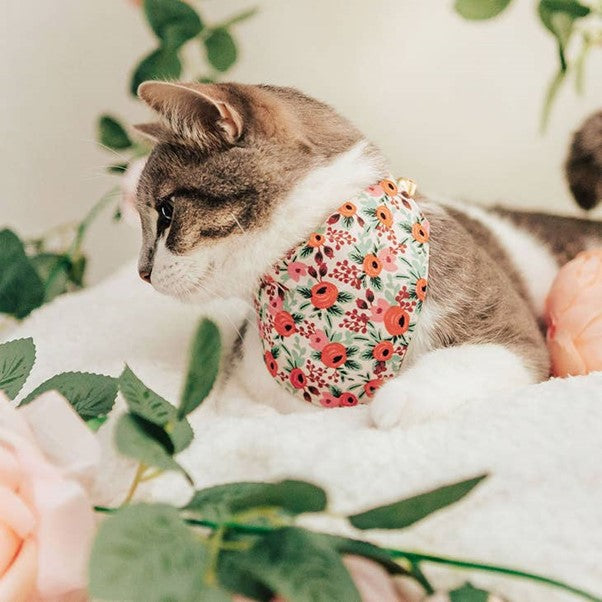 "Juliet" Bandana for Cats by Made By Cleo