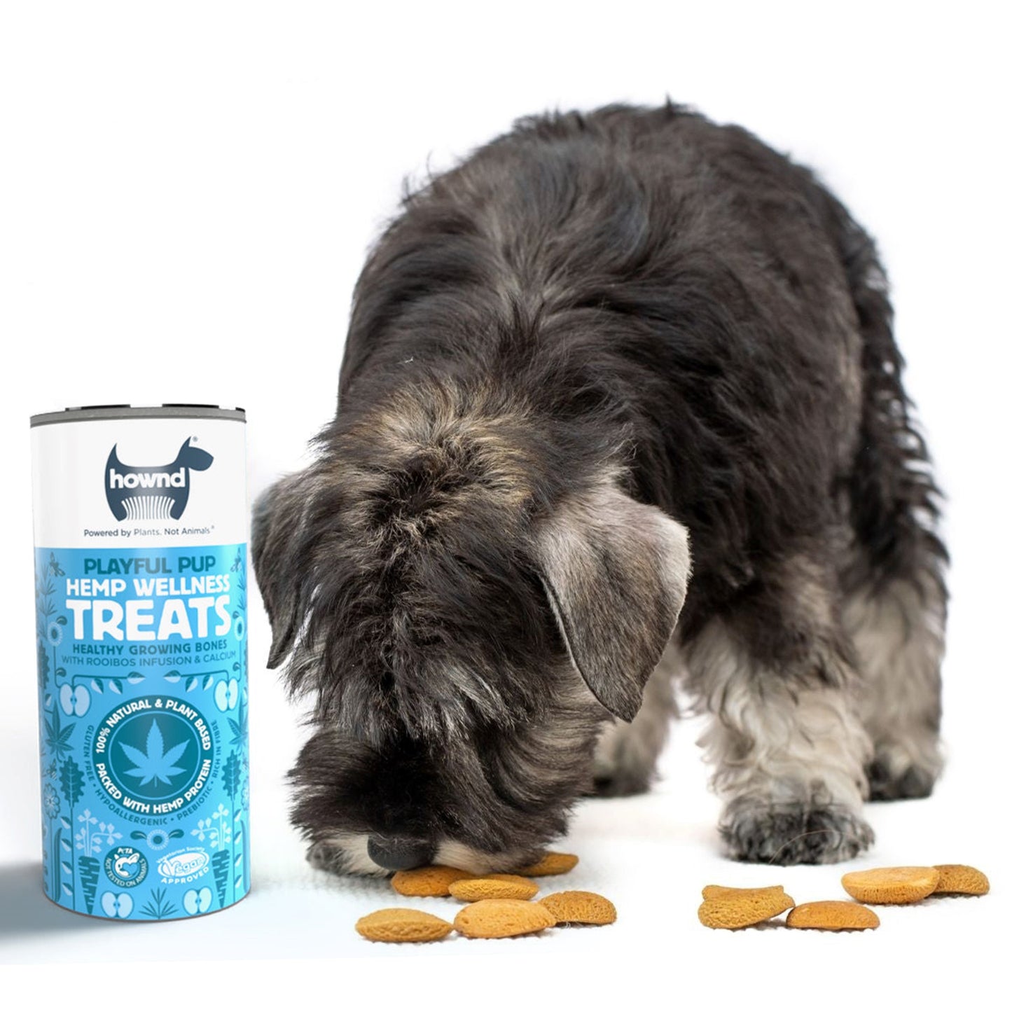 Hownd - Playful Pup Hemp Wellness Treats