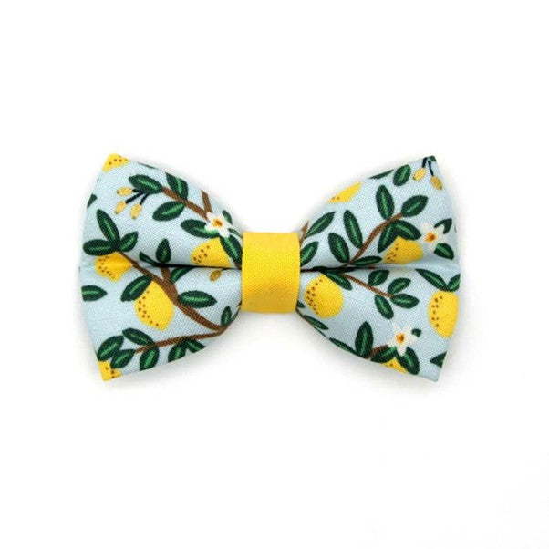 "Lemon Drops" Bow Tie for Cats by Made By Cleo