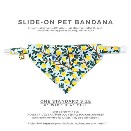 "Lemon Drops" Bandana for Cats by Made By Cleo