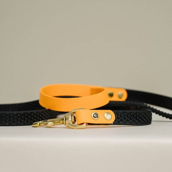 Dog Leash by GULA