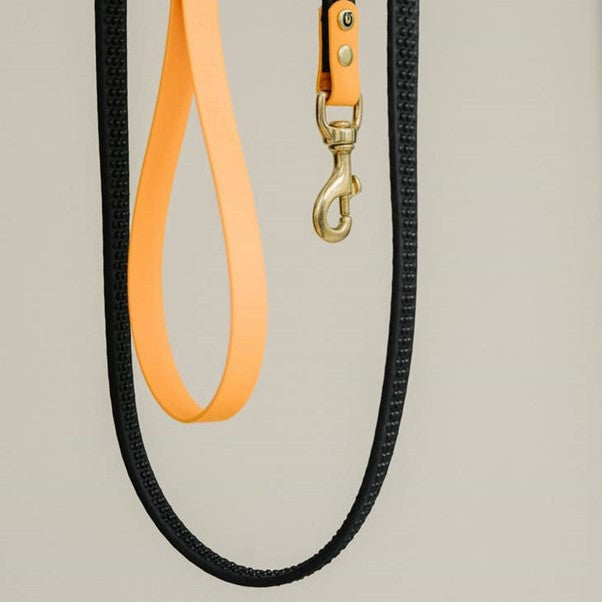 Dog Leash by GULA