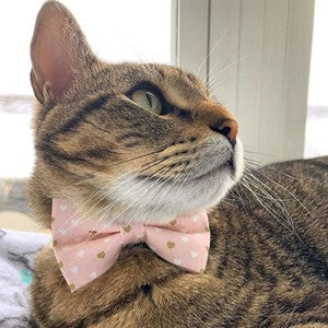 "Devotion Pink" Bow Tie for Cats by Made By Cleo