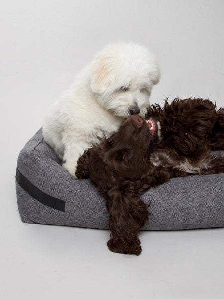 Hygge Dog Bed (Anthracite) by Nordog