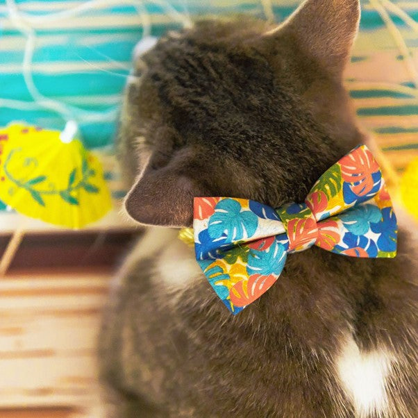 "Tiki Dreams" Bow Tie for Cats by Made By Cleo