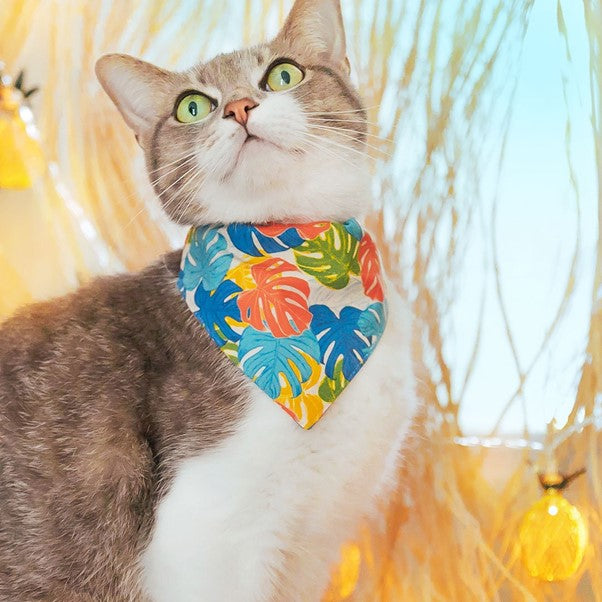 "Tiki Dreams" Bandana for Cats by Made By Cleo