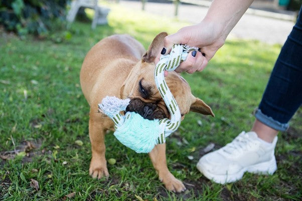 Squeaky Furry Rope Toy - Dog Toy