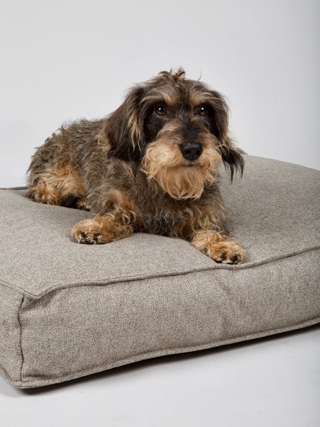 Hygge Dog Cushion (Cappuccino) by Nordog