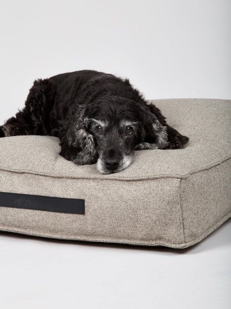 Hygge Dog Cushion (Cappuccino) by Nordog