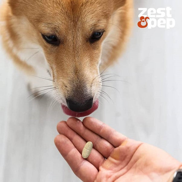 Zest & Pep - Joint & Hip Supplement For Younger Dogs