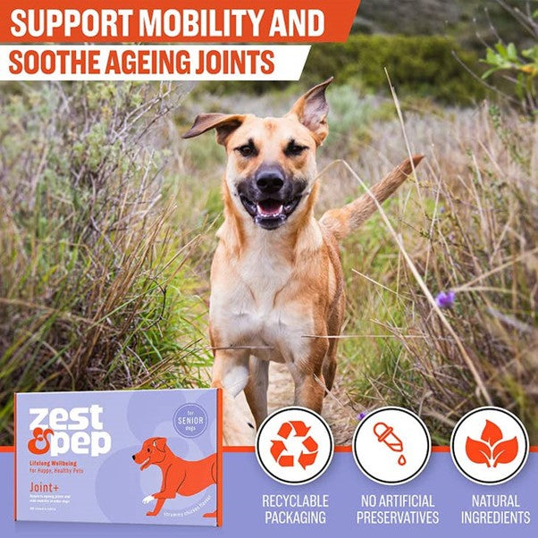 Zest & Pep - Joint & Hip Supplement For Senior Dogs