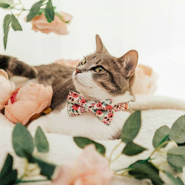 "Juliet" Bow Tie for Cats by Made By Cleo