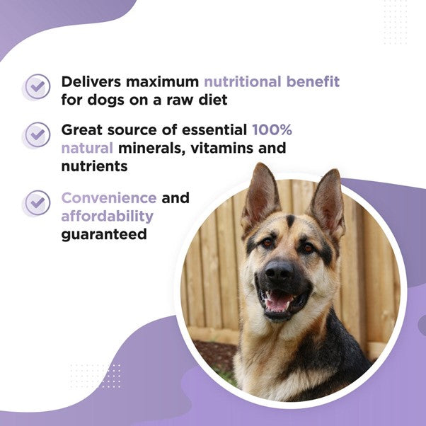 Dog's Lounge - RAWSTER Complete Raw Feeding Dog Supplement