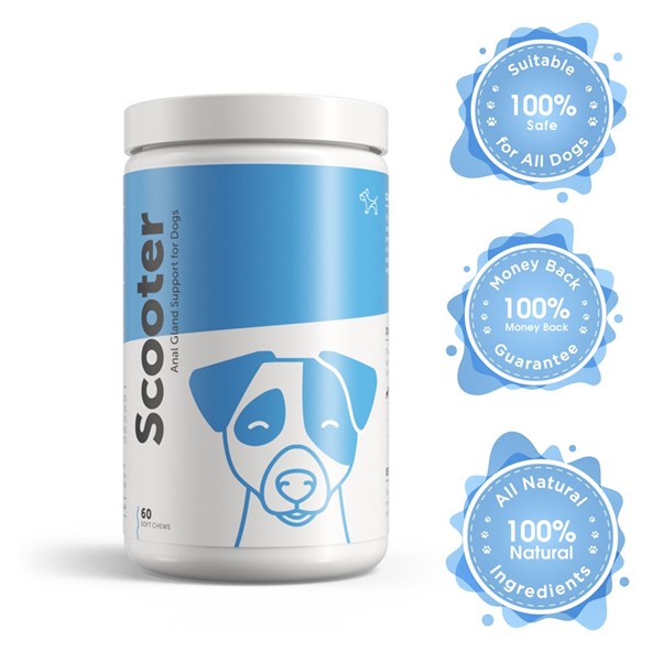 Dog's Lounge - SCOOTER Anal Gland Supplement for Dogs and Puppies