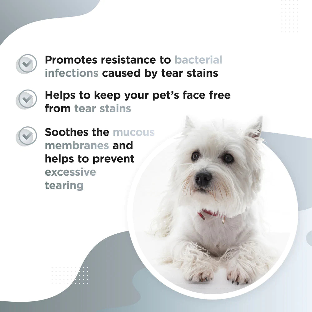 Dog's Lounge - TEARY – Natural Tear Stain Supplement for Dogs and Puppies