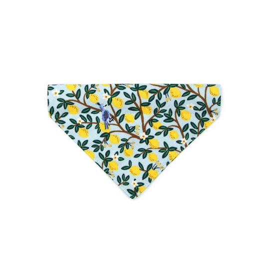 "Lemon Drops" Bandana for Cats by Made By Cleo