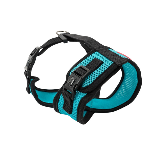 Soft Cat Harness With Velcro (Turquoise)