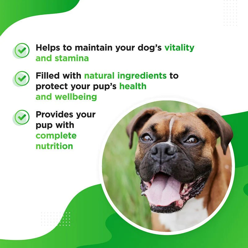 Dog's Lounge - VITIA Multivitamin Complex for Dogs