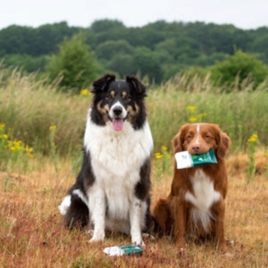 Hownd - Yup You Stink! Emergency Biodegradable Dog Wipes