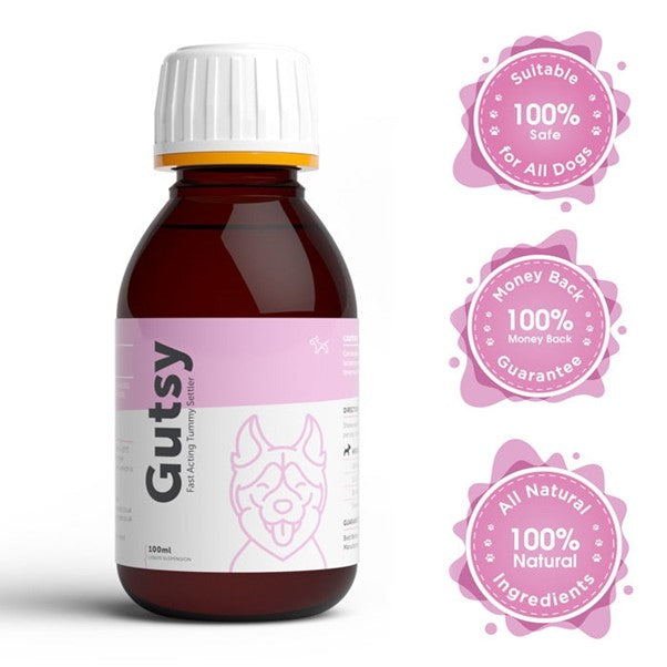 Dog's Lounge - GUTSY Fast-acting Tummy Suspension for Dogs and Puppies